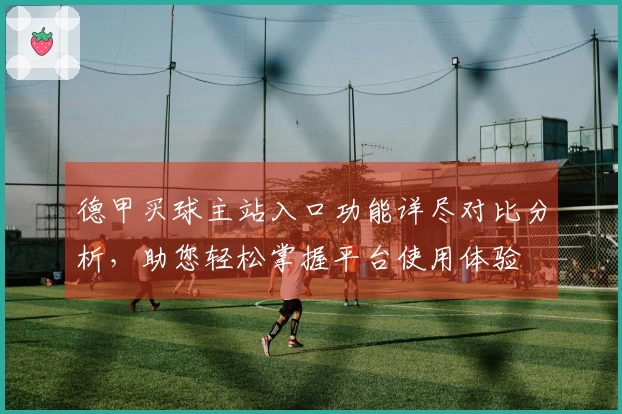 德甲买球主站入口功能详尽对比分析，助您轻松掌握平台使用体验